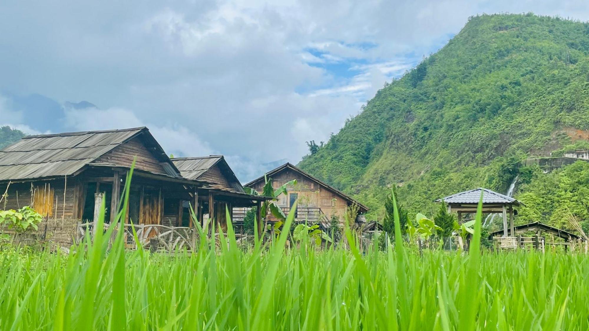 Eco Rice Fields House Pansiyon Sapa Dış mekan fotoğraf