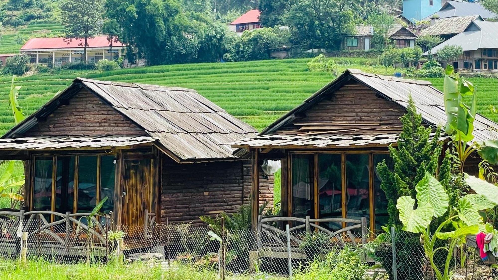 Eco Rice Fields House Pansiyon Sapa Dış mekan fotoğraf