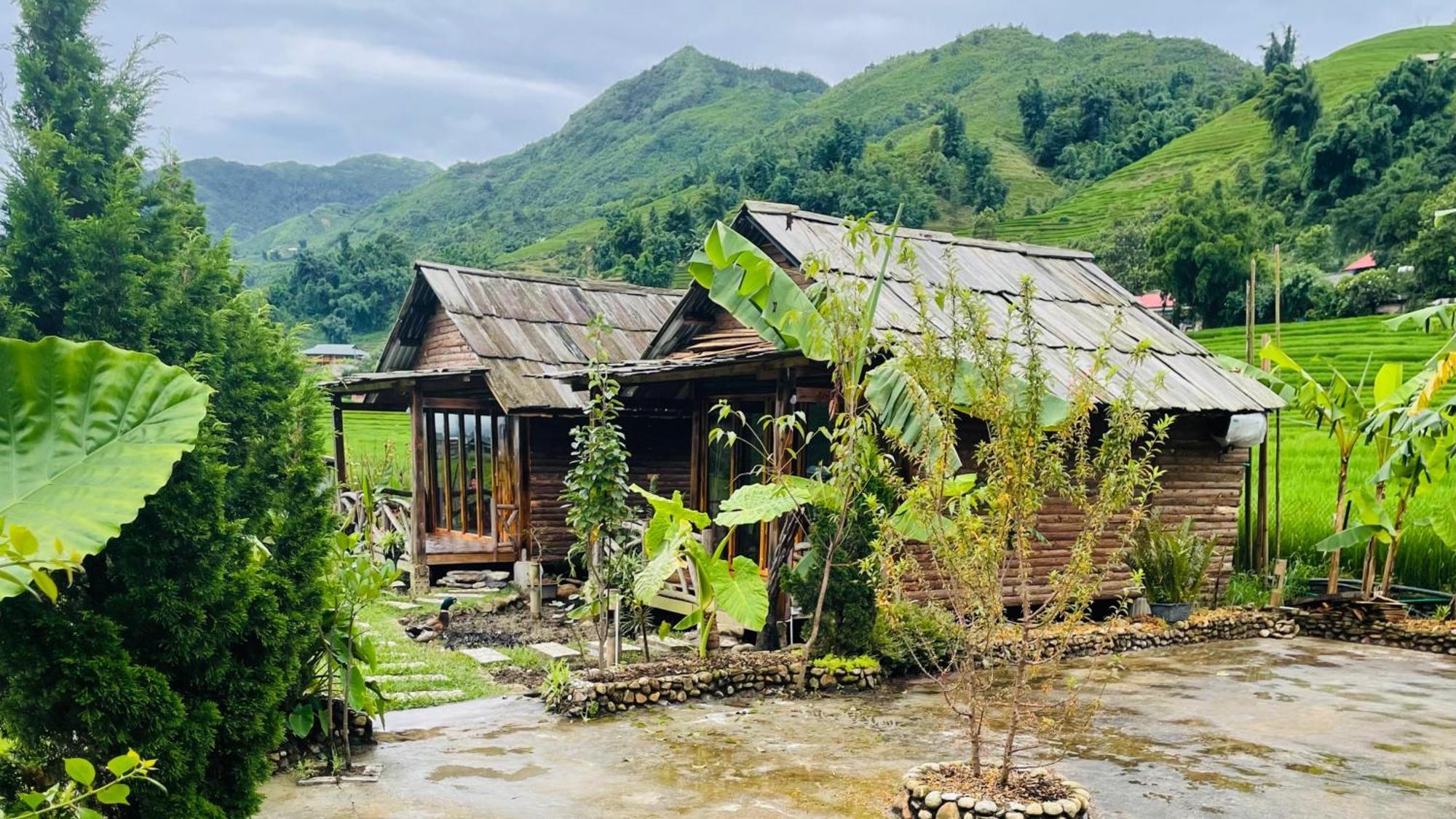 Eco Rice Fields House Pansiyon Sapa Dış mekan fotoğraf